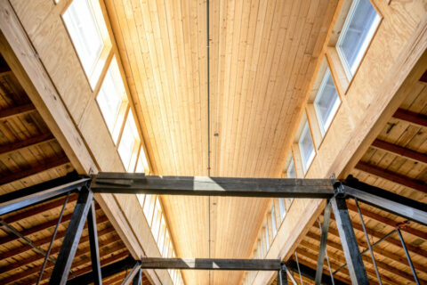 Naked River - Elemi Architects